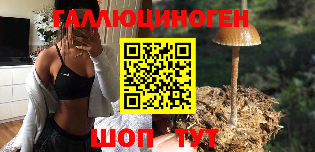 Галлюциногенные грибы Psilocybe Электрогорск