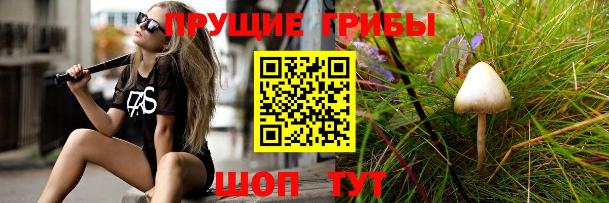 Галлюциногенные грибы мухоморы  Вход с VPN  Электрогорск  Псилоцибиновые грибы Magic Shrooms 